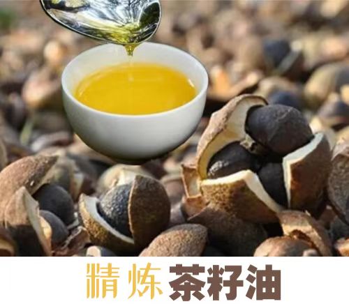 茶籽油精煉成套工程